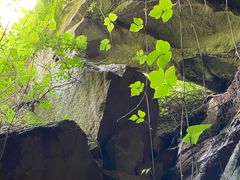 -秦岭终南山世界地质公园翠华山景区