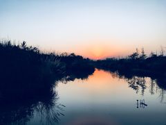 -白鹭湾湿地公园