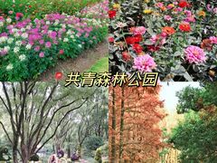 -上海山野camping·户外天幕烧烤·团建拓展营地