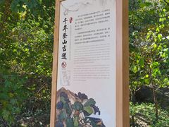 -北京鹫峰国家森林公园