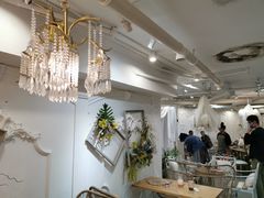 大堂-共舞时光猫咖·狗咖(新街口店)
