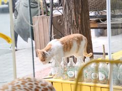 -五进制 Coffee Shop