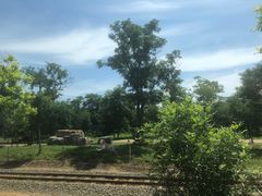 -秦皇岛野生动物园