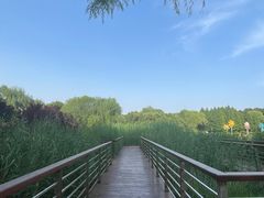 -郑州植物园