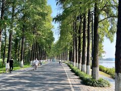 -东湖落雁景区