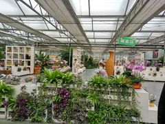 -兰陵国家农业公园