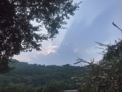 -丹樱生态园