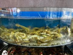 -蓝珊甄选海鲜自助·火锅大排档(近阿那亚店)