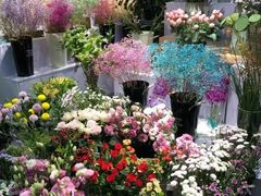 -双季花艺园艺市场(浦东店)