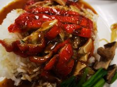 -Magic Food Point(Airport Street food)