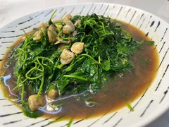 花甲肉金花菜-旺山·浪头人家