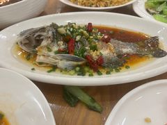 -洲晓鲜·舟山海鲜大排档(朱家尖风景区店)