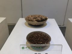 -成都川菜博物馆