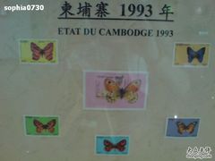 -上海昆虫博物馆