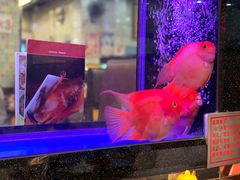 -新辉港式茶餐厅(北栅店)