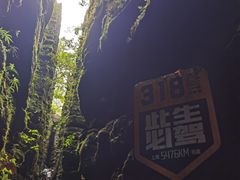 -梭布垭石林景区