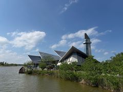 -盐城丹顶鹤湿地生态旅游区