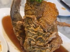 糖醋黄金鲤鱼-城南往事·鲁菜济南菜(软件园美莲广场店)