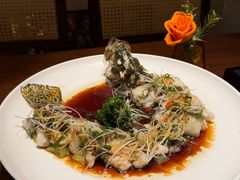 -觅唐MITONG(鸟巢店)