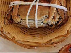 -蟹天蟹地农家菜·阳澄湖大闸蟹(浅水湾店)