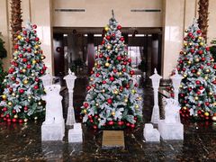 -常州环球恐龙城维景国际大酒店