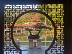 -深圳仙湖植物园