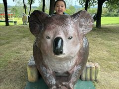 -南京银杏湖乐园