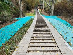 -青龙山国家森林公园