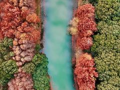 -贡湖湾湿地公园