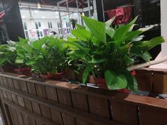 -高第街56号融合餐厅(振华五星百货店)