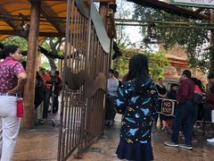-奥兰多环球影城