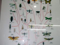 -郑州自然博物馆(惠济区)