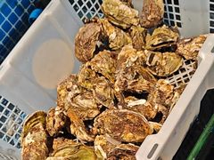 -争先鲜·蒸汽海鲜自助·鲜切牛肉
