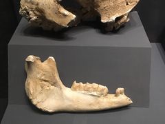 -贵州省博物馆(新馆)
