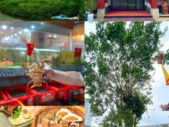 -巽寮印象美食部落餐厅·海鲜·地方特色菜(惠州体验店)