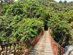 -梧桐山风景名胜区