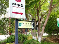 -炑羊香烤全羊(西三旗店)