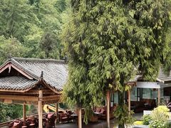 -青城山