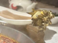 -大龙燚火锅(悉尼店)