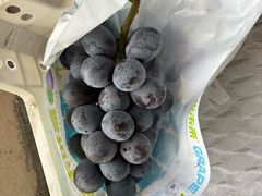 -马陆小张葡萄园农家乐