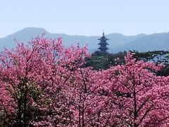 -风云岭森林公园