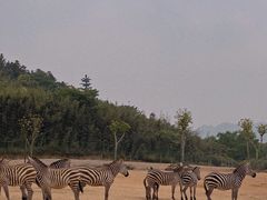 -杭州野生动物世界