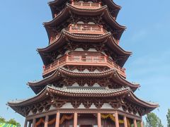 -曹州牡丹园