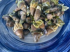 -胖大嫂渔家排档·全海景餐厅(渔村店)