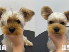 -comecome来吧宠物(奥克斯中心店)