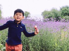 -鹅湖玫瑰文化园
