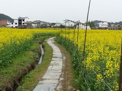 android_upload_pic-思溪延村