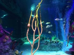 -沈阳海洋探索中心