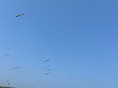 -棒棰岛宾馆景区
