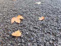 -宜兴龙背山森林公园